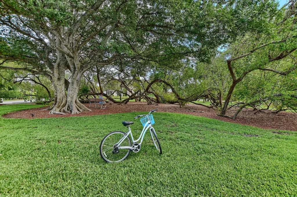 A bicycle stands on a lush green lawn under the canopy of sprawling trees in a park setting.